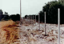 zvnr-Henley Road north boundary 1983.jpg (66870 bytes)
